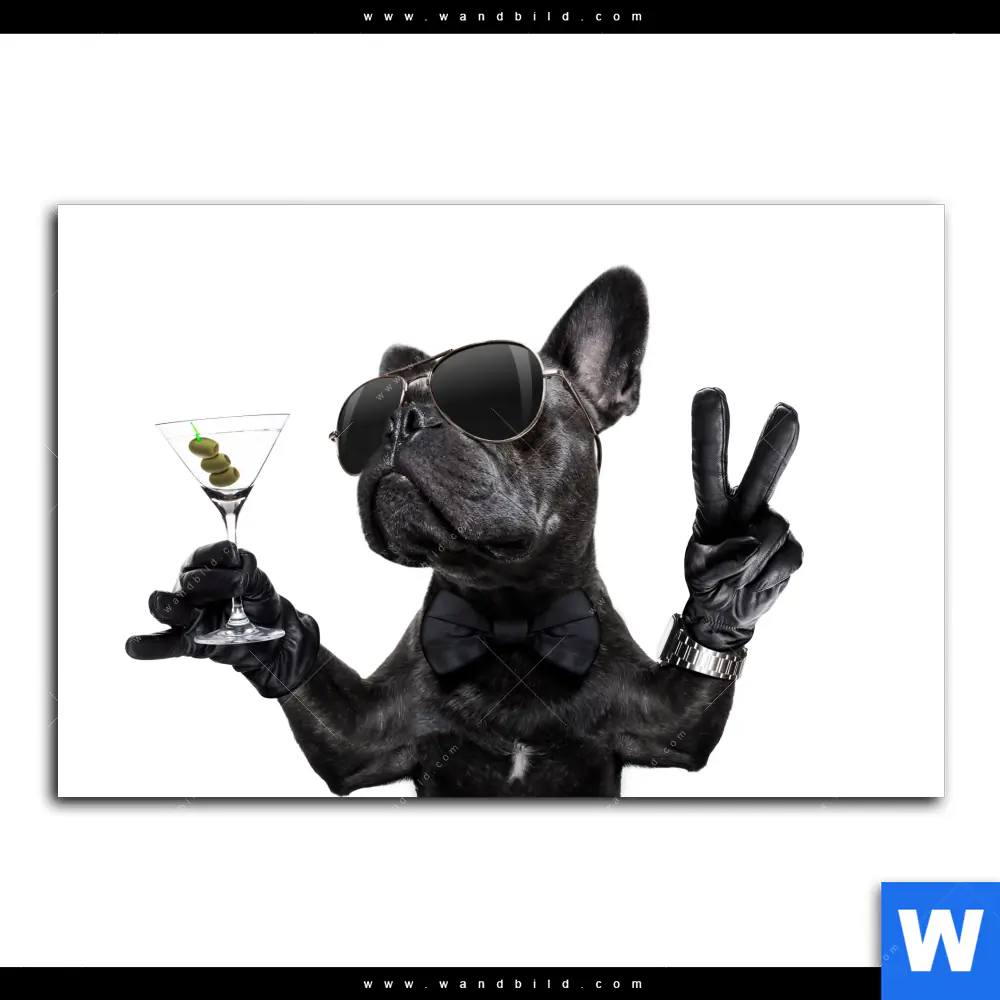 Acrylglasbild | Bulldogge mit Martini | Querformat - Image 2