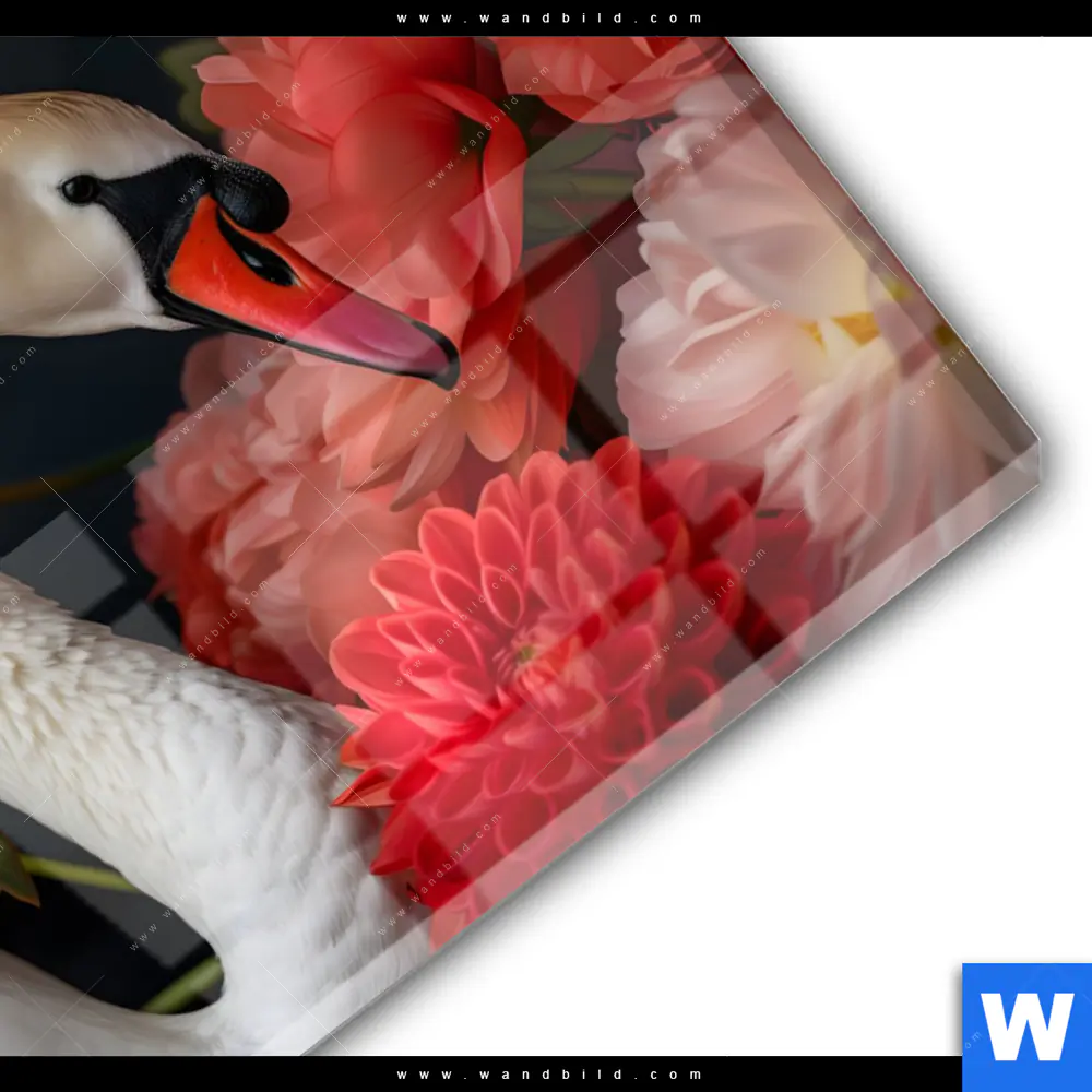 Acrylglasbild | Eleganter Schwan mit Blumen | Querformat - Image 3