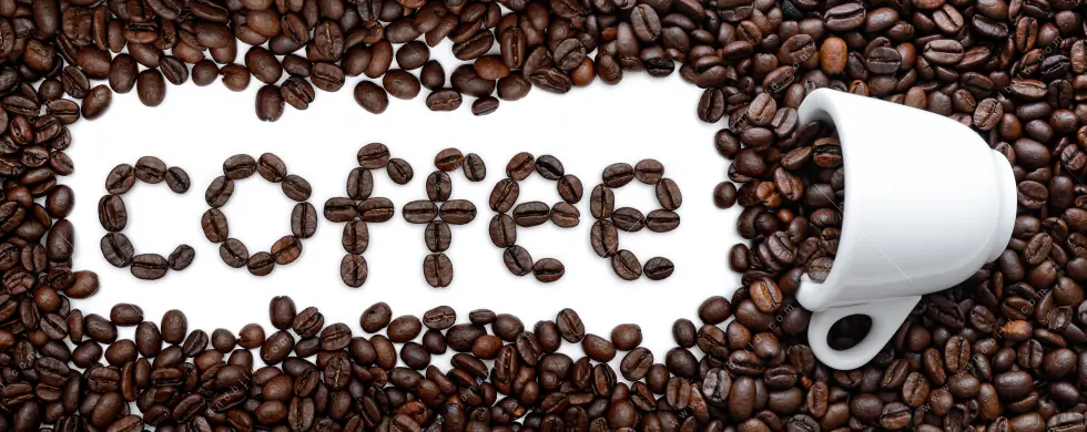 Acrylglasbild | Kaffeegenuss aus besten Bohnen | Querformat - Image 5