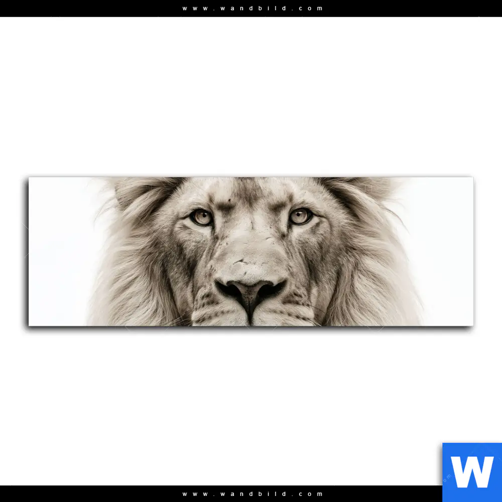 Acrylglasbild | Löwenstolz – Vater und Junges | Panorama - Image 2