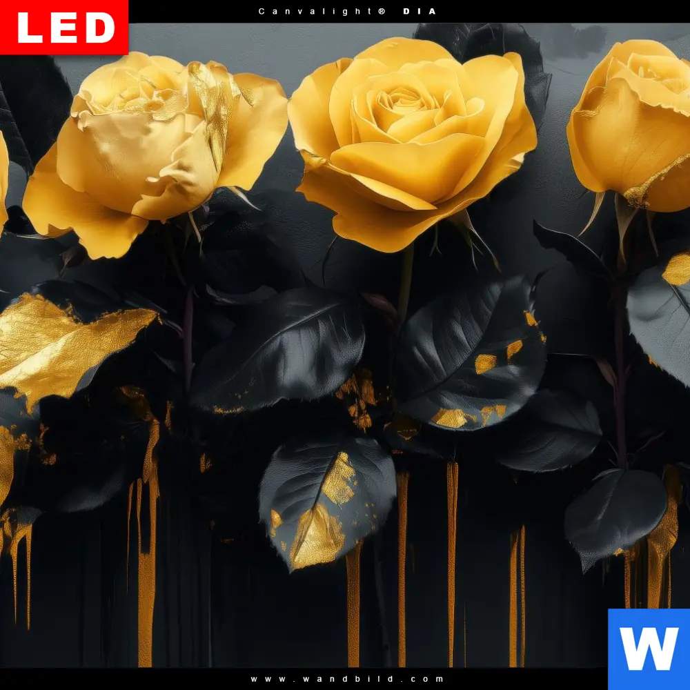 Acrylglasbild | Luxus Rosen | Hochformat - Image 4