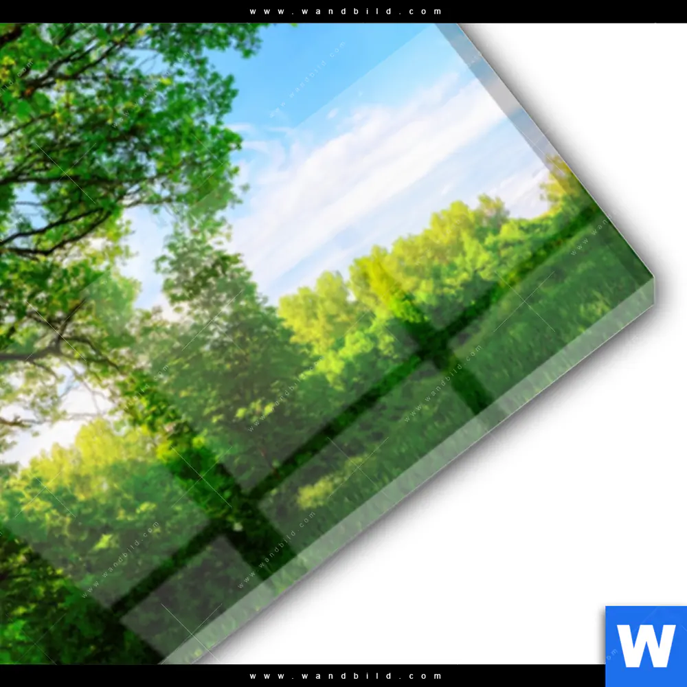 Acrylglasbild | Sonnendurchfluteter Baum | Panorama - Image 3