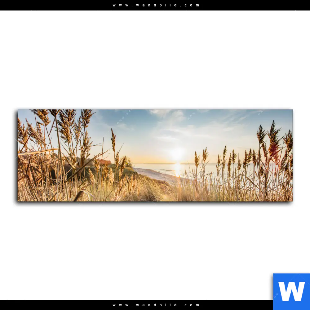 Acrylglasbild | Urlaub am Meer | Panorama - Image 2