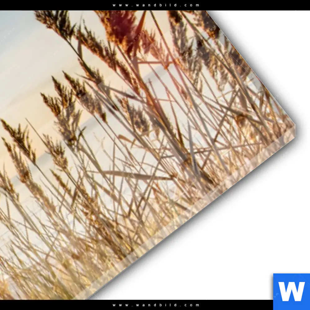 Acrylglasbild | Urlaub am Meer | Panorama - Image 3