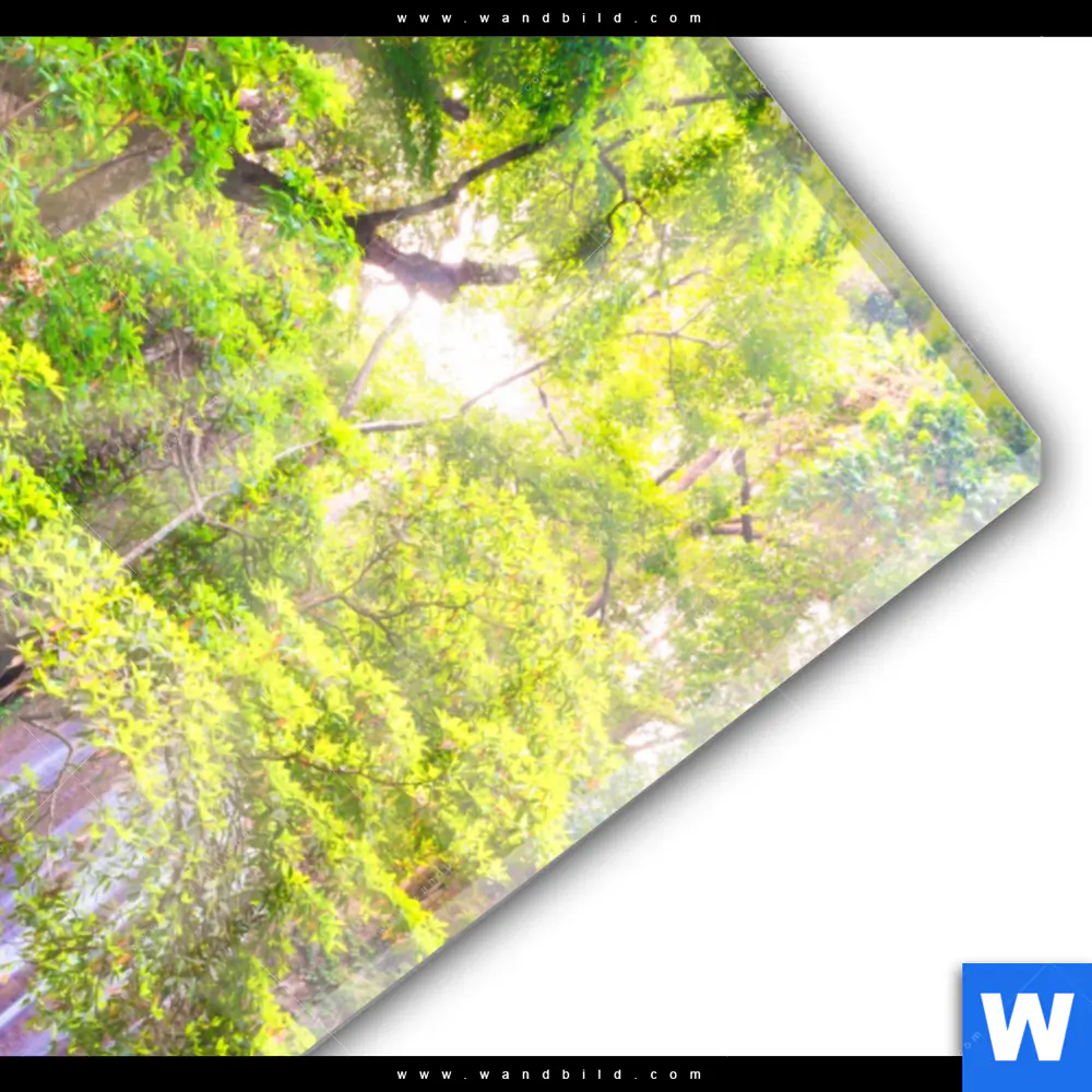 Acrylglasbild | Verborgener Wasserfall | Hochformat - Image 3