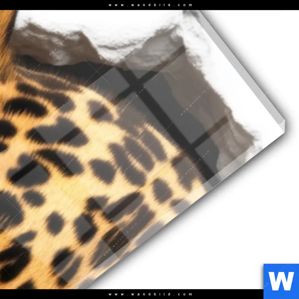 Acrylglasbild | Wanddurchbruch - Leopard | Schmal - Image 3