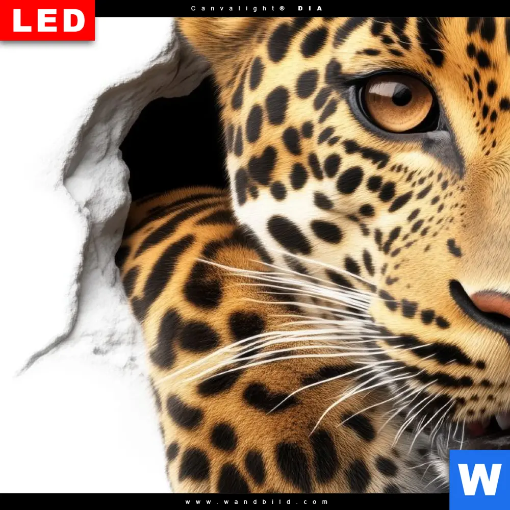Acrylglasbild | Wanddurchbruch - Leopard | Schmal - Image 4