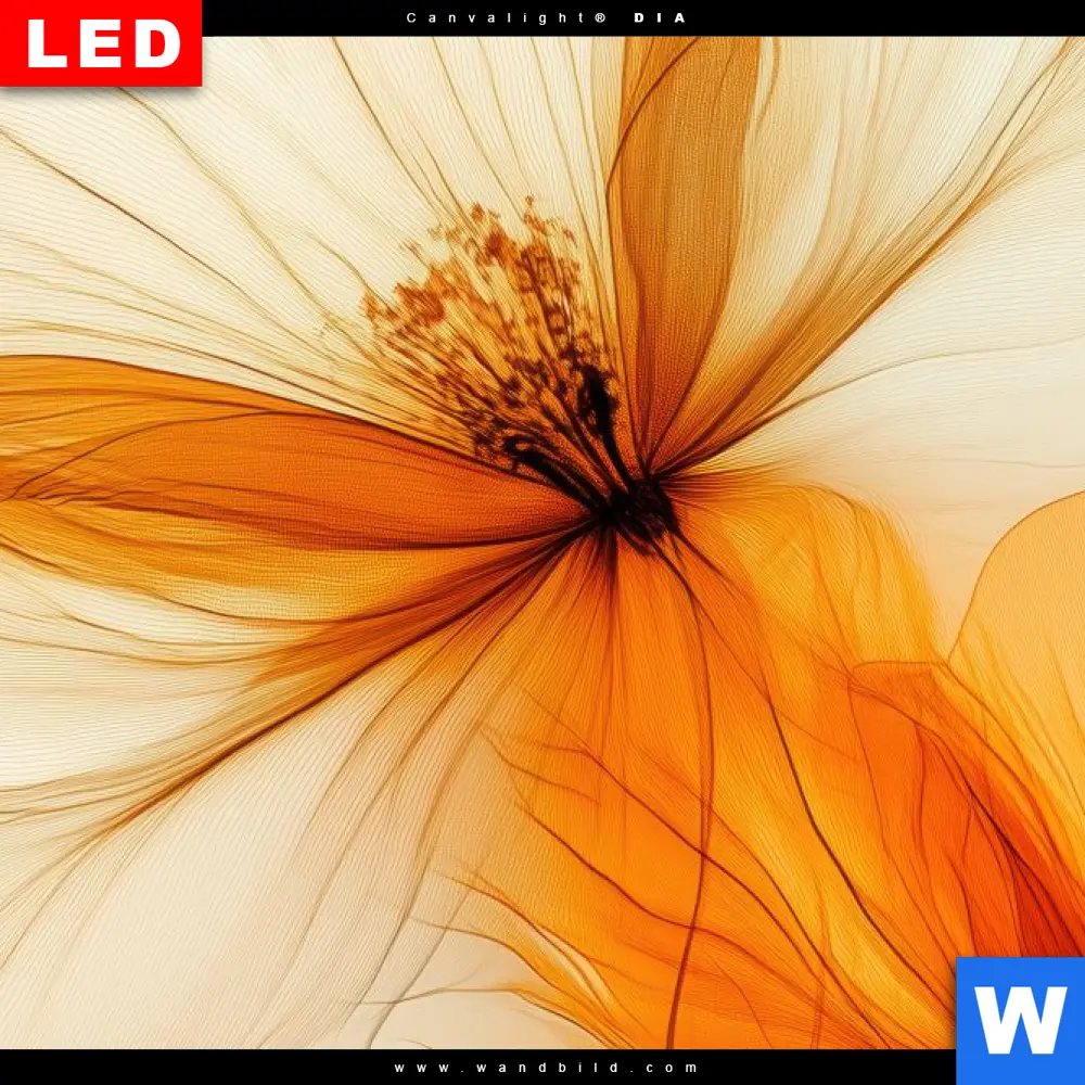 Acrylglasbild | Zarte Blüten in Orange | Panorama - Image 4
