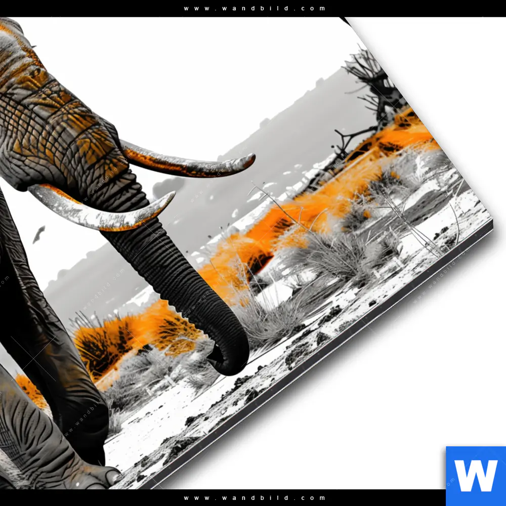 Alu-Dibond Bild | Elefant - Kraft der Wildnis | Quadrat - Image 3