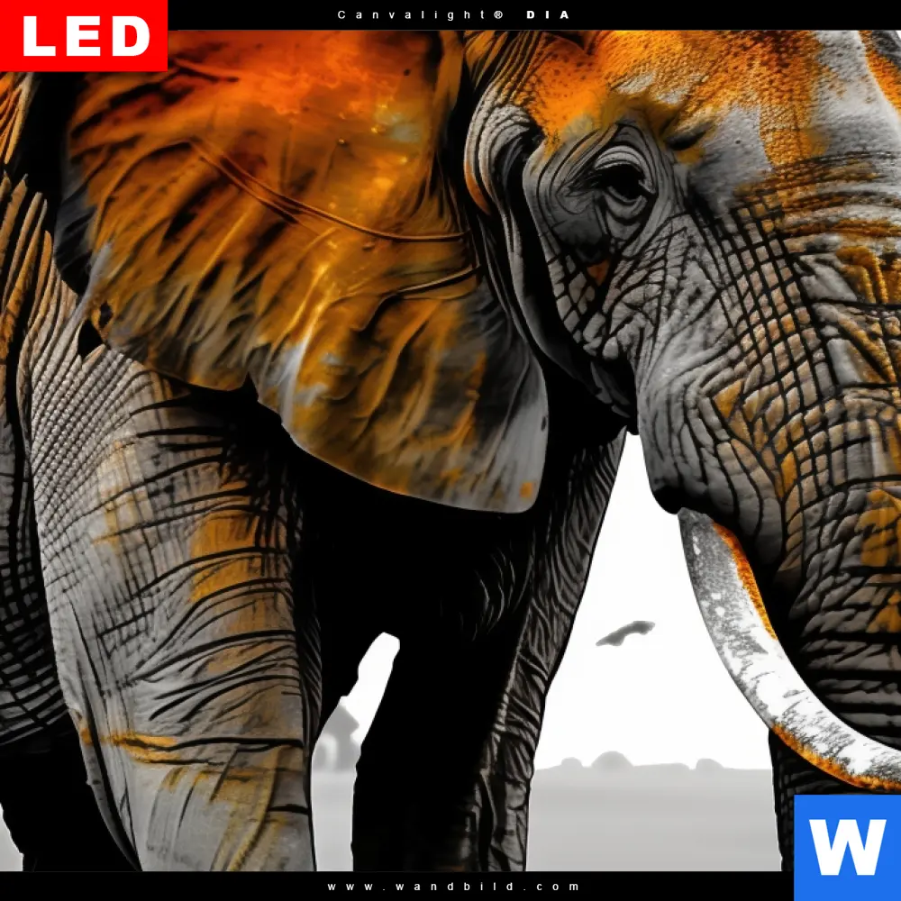 Alu-Dibond Bild | Elefant - Kraft der Wildnis | Quadrat - Image 4