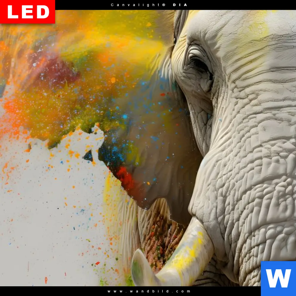 Alu-Dibond Bild | Farbenexplosion mit Elefant | Hochformat - Image 4