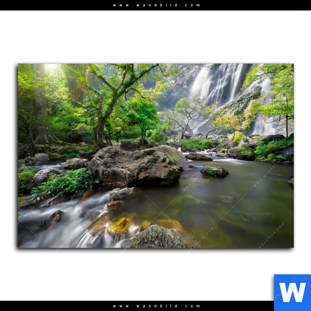 Alu-Dibond Bild | Felsenbach im Regenwald | Querformat - Image 2