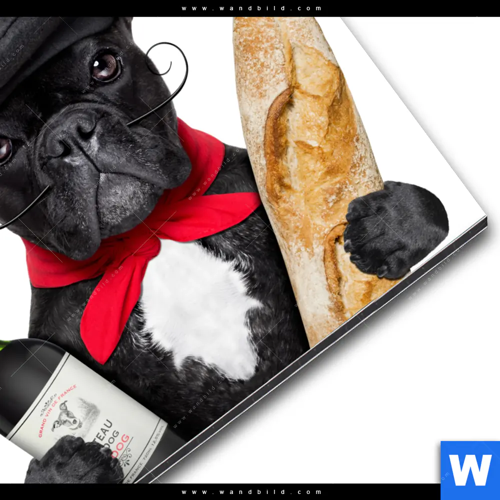 Alu-Dibond Bild | Französischer Bulldoggen-Charme mit Baguette & Wein | Quadrat - Image 3