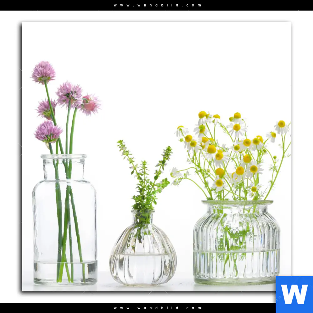 Alu-Dibond Bild | Glasvasen mit Kräutern | Quadrat - Image 2