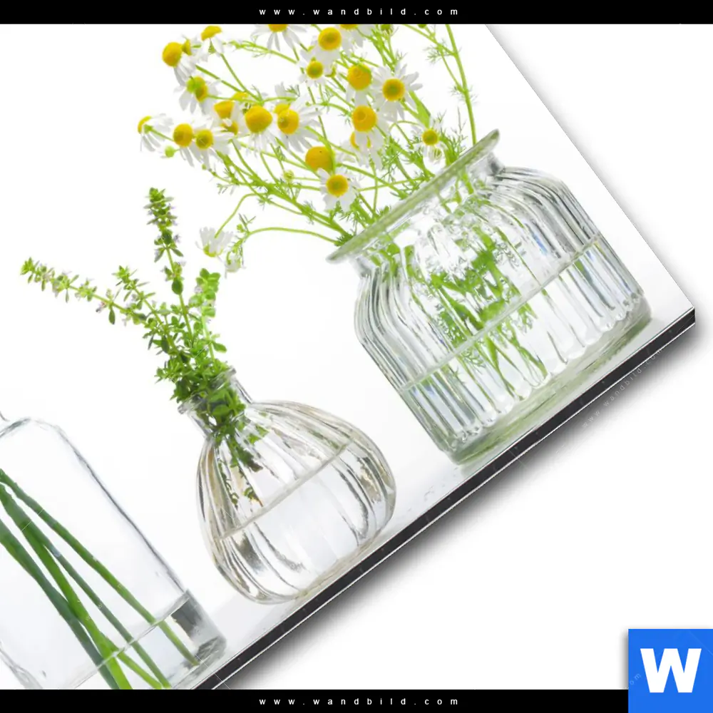 Alu-Dibond Bild | Glasvasen mit Kräutern | Quadrat - Image 3