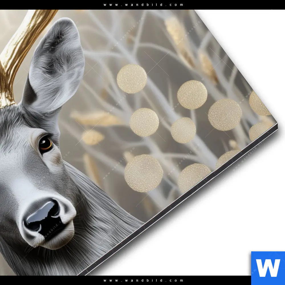 Alu-Dibond Bild | Hirsch mit goldenem Geweih | Querformat - Image 3