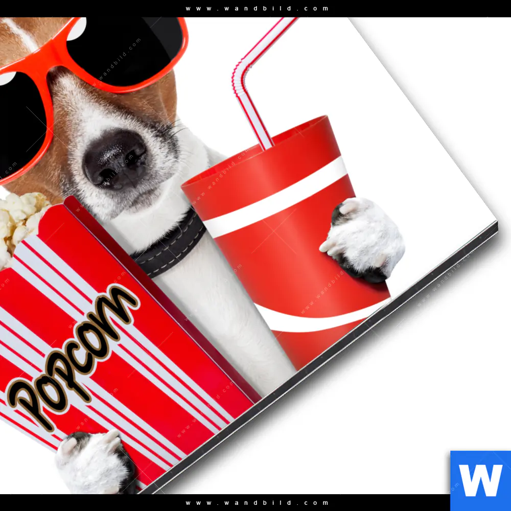 Alu-Dibond Bild | Kinoabend mit Terrier | Quadrat - Image 3