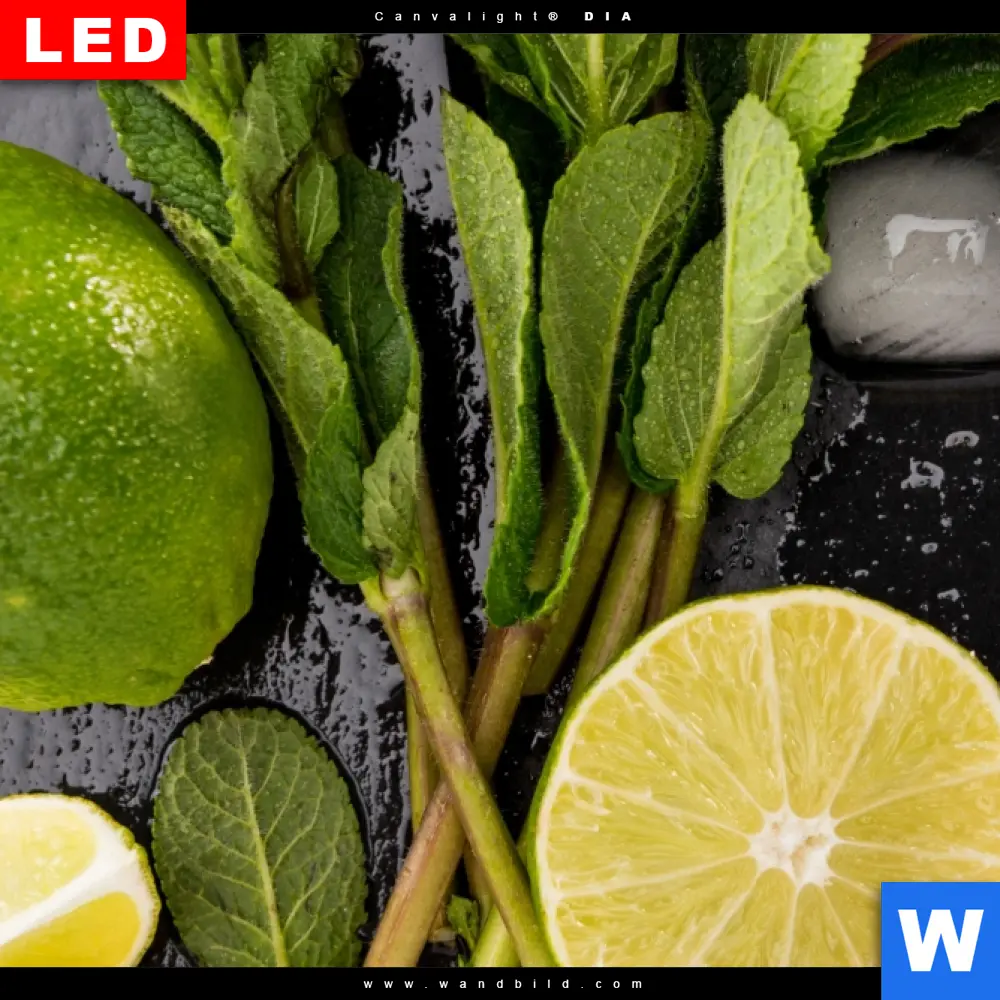 Alu-Dibond Bild | Perfekte Zutaten für Cocktails | Quadrat - Image 4