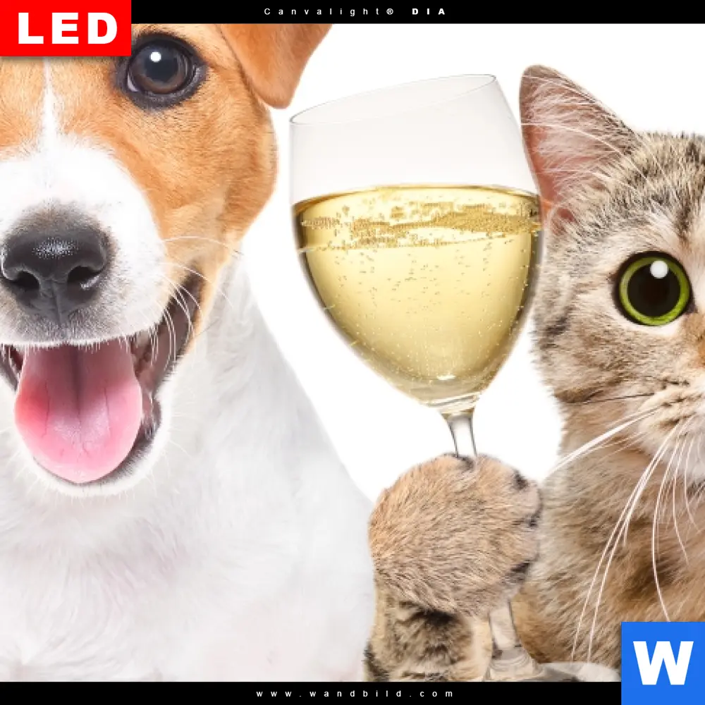 Alu-Dibond Bild | Prost - tierische Party | Hochformat - Image 4