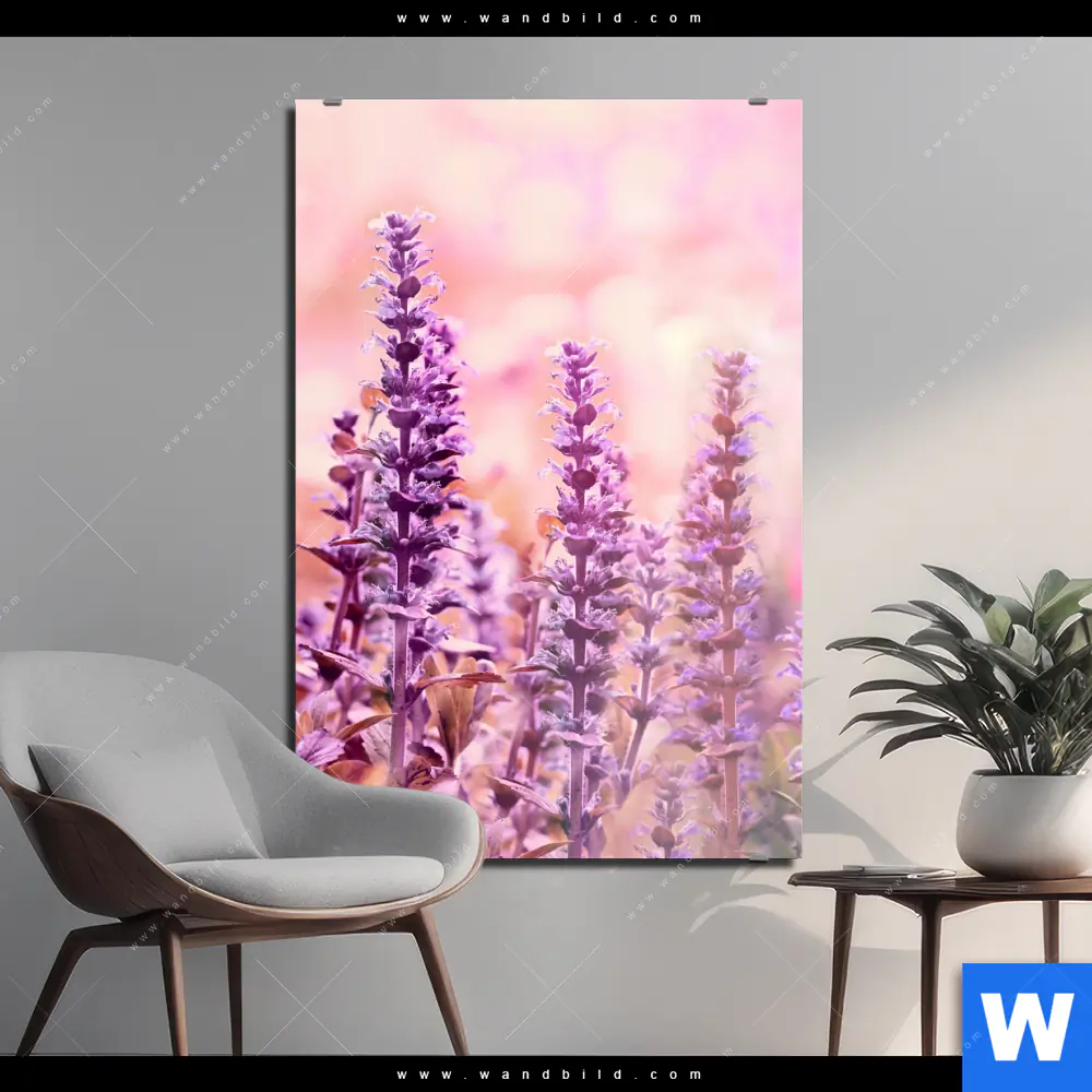 Alu-Dibond Bild | Sommeridylle mit Lavendel | Hochformat