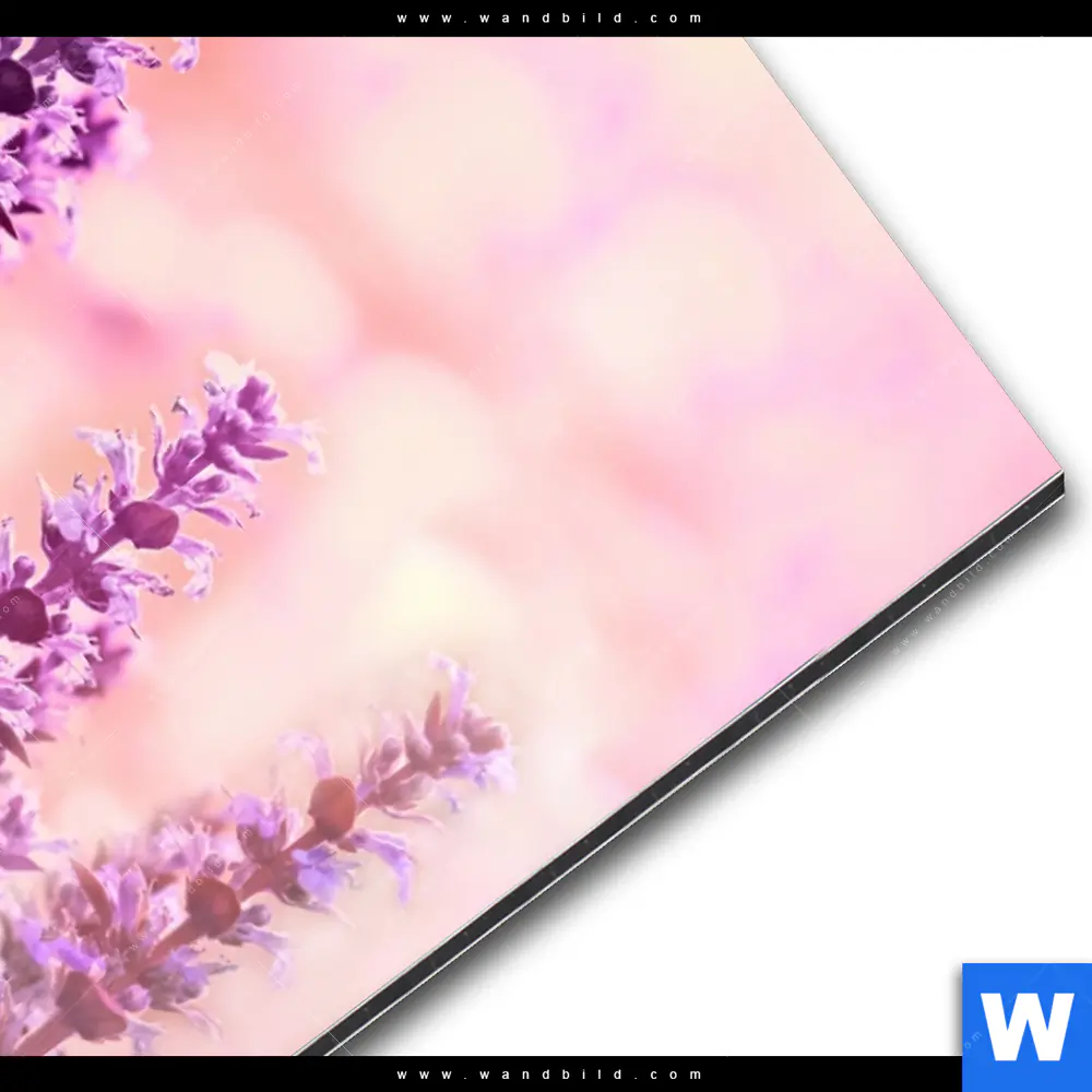 Alu-Dibond Bild | Sommeridylle mit Lavendel | Hochformat - Image 3