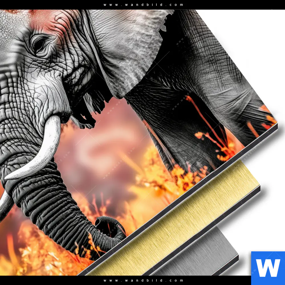 Aluminiumbild gebürstet | Elefant - Savannenzauber in Afrika | Quadrat - Image 3