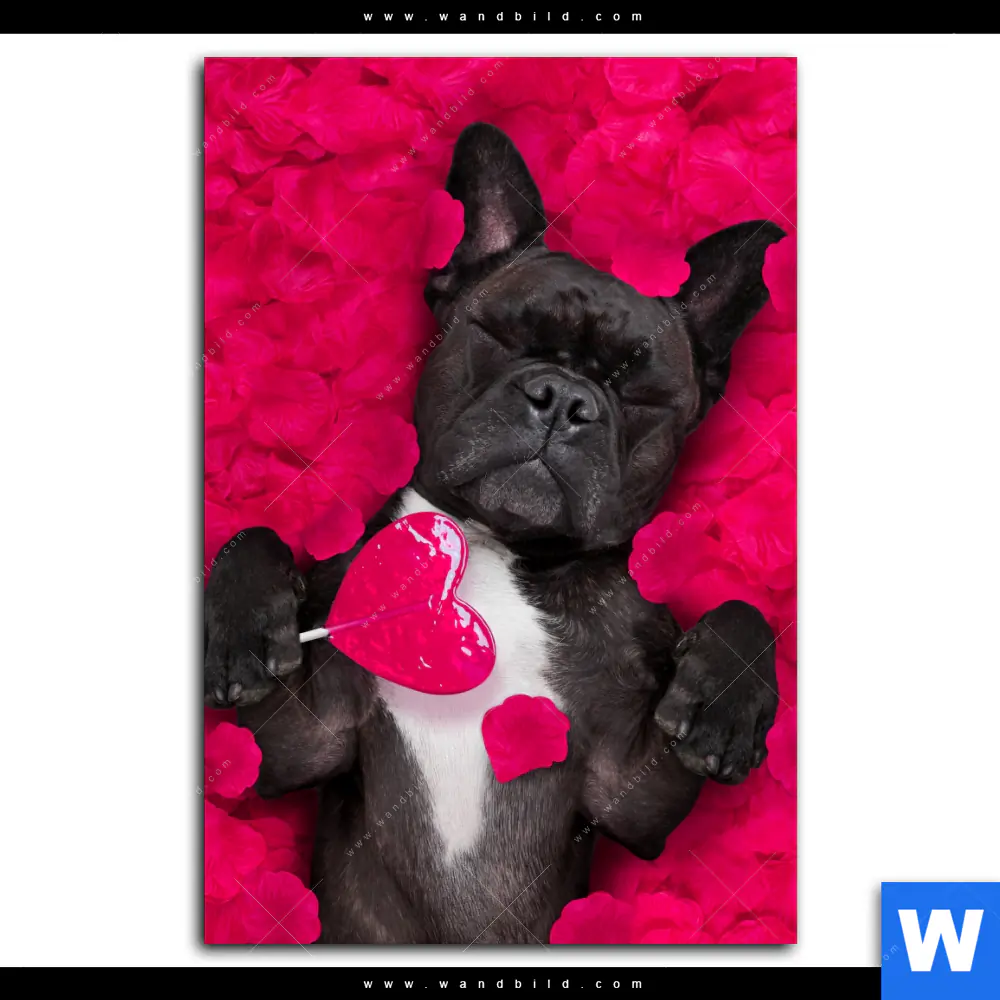 Aluminiumbild gebürstet | Romantik mit süßen Hunden | Hochformat - Image 2