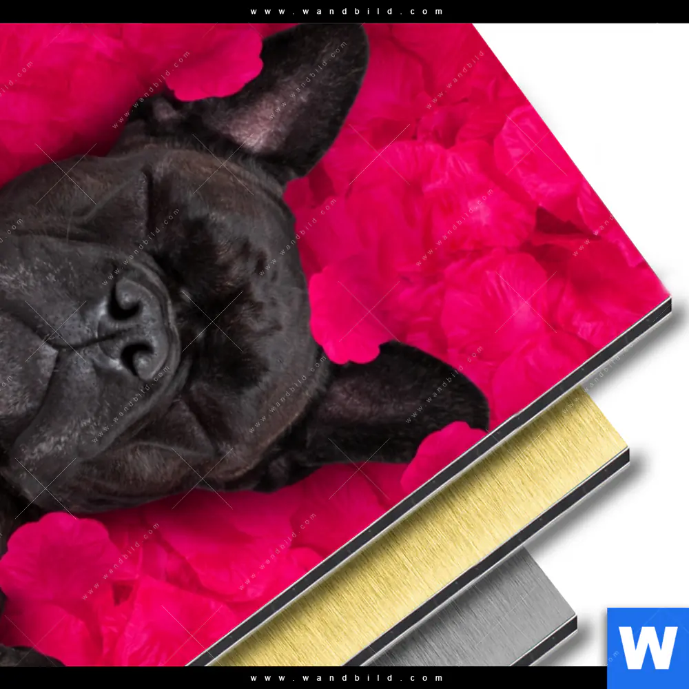 Aluminiumbild gebürstet | Romantik mit süßen Hunden | Hochformat - Image 3
