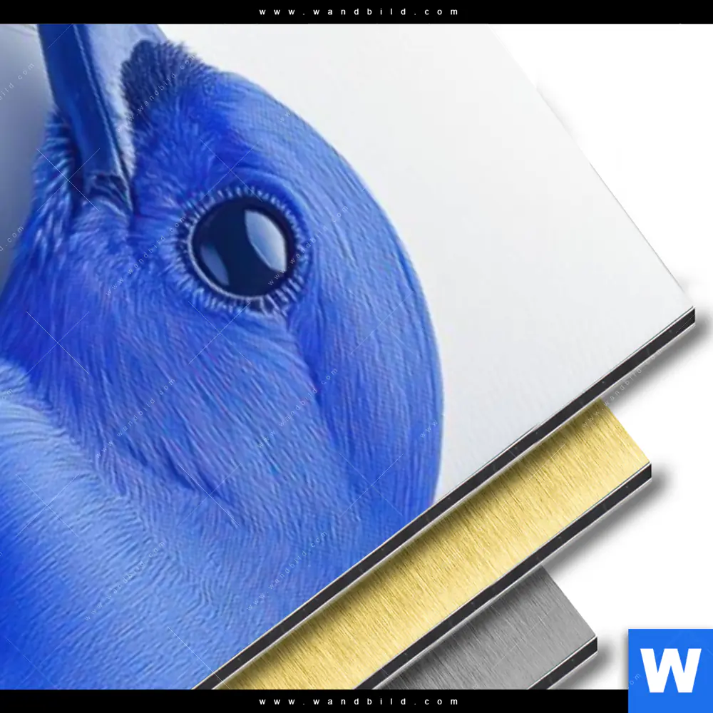 Aluminiumbild gebürstet | Vogelfreunde | Schmal - Image 3