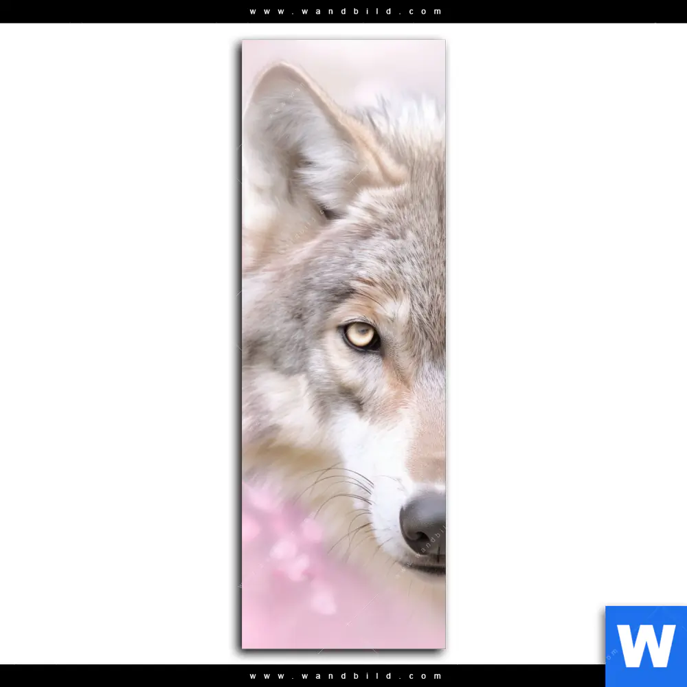 Leinwandbild | Friedlicher Wolf | Schmal - Image 2