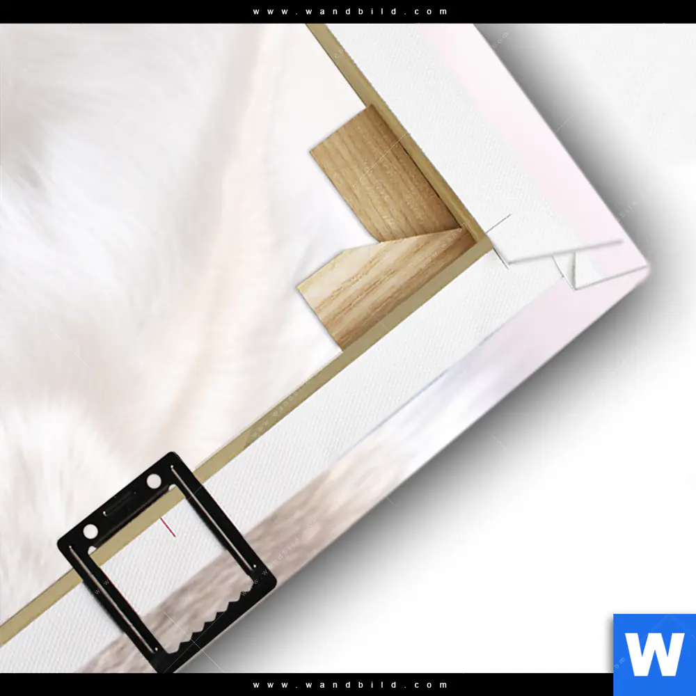 Leinwandbild | Friedlicher Wolf | Schmal - Image 3