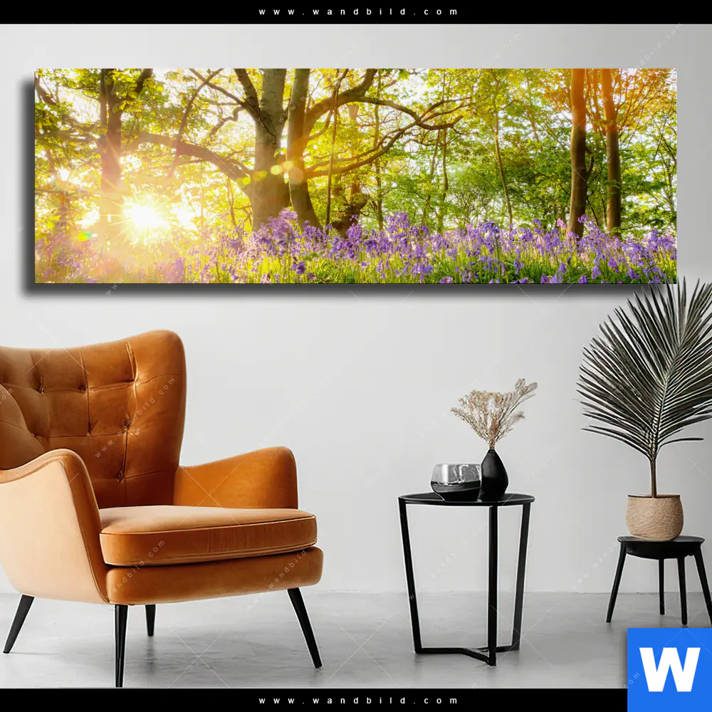 Leinwandbild | Frühlingserwachen zwischen Bäumen | Panorama