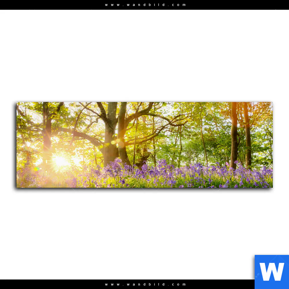 Leinwandbild | Frühlingserwachen zwischen Bäumen | Panorama - Image 2