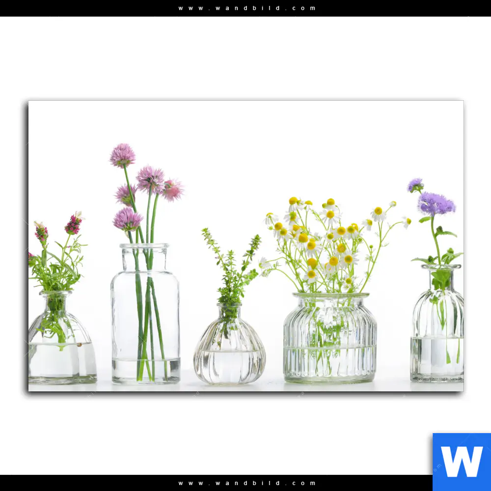 Leinwandbild | Glasvasen mit Kräutern | Querformat - Image 2
