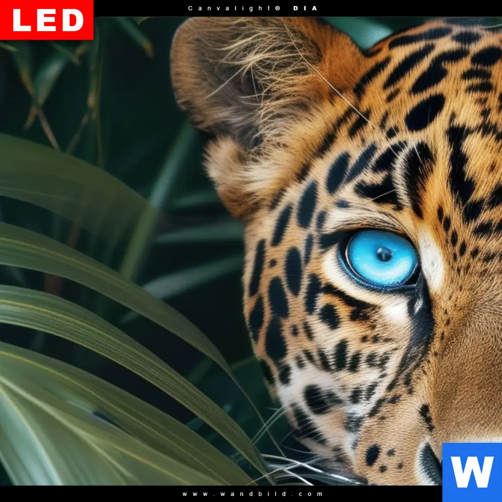 Leinwandbild | Leopard mit blauen Augen | Schmal - Image 4