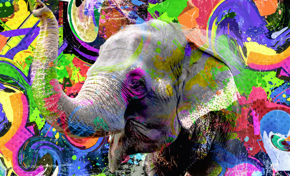 Leinwandbild | Moderner bunter Elefant No. 2 | Panorama - Image 5