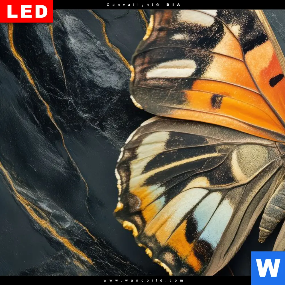 Leinwandbild | Schmetterling auf Marmor | Querformat - Image 4