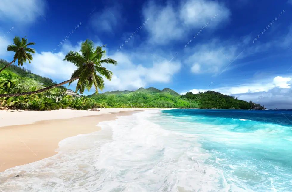 Leinwandbild | Traumstrand unter Palmen | Querformat - Image 5