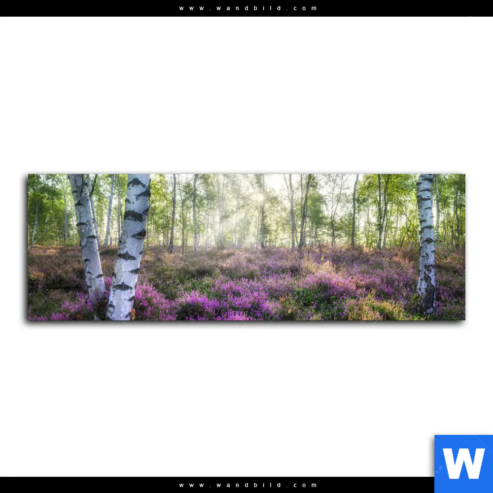 Leinwandbild | Wald mit Heideblumen | Panorama - Image 2