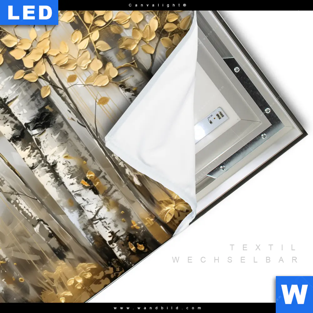 Canvalight® Leuchtbild | Abstrakter Birkenwald | Querformat - Image 3