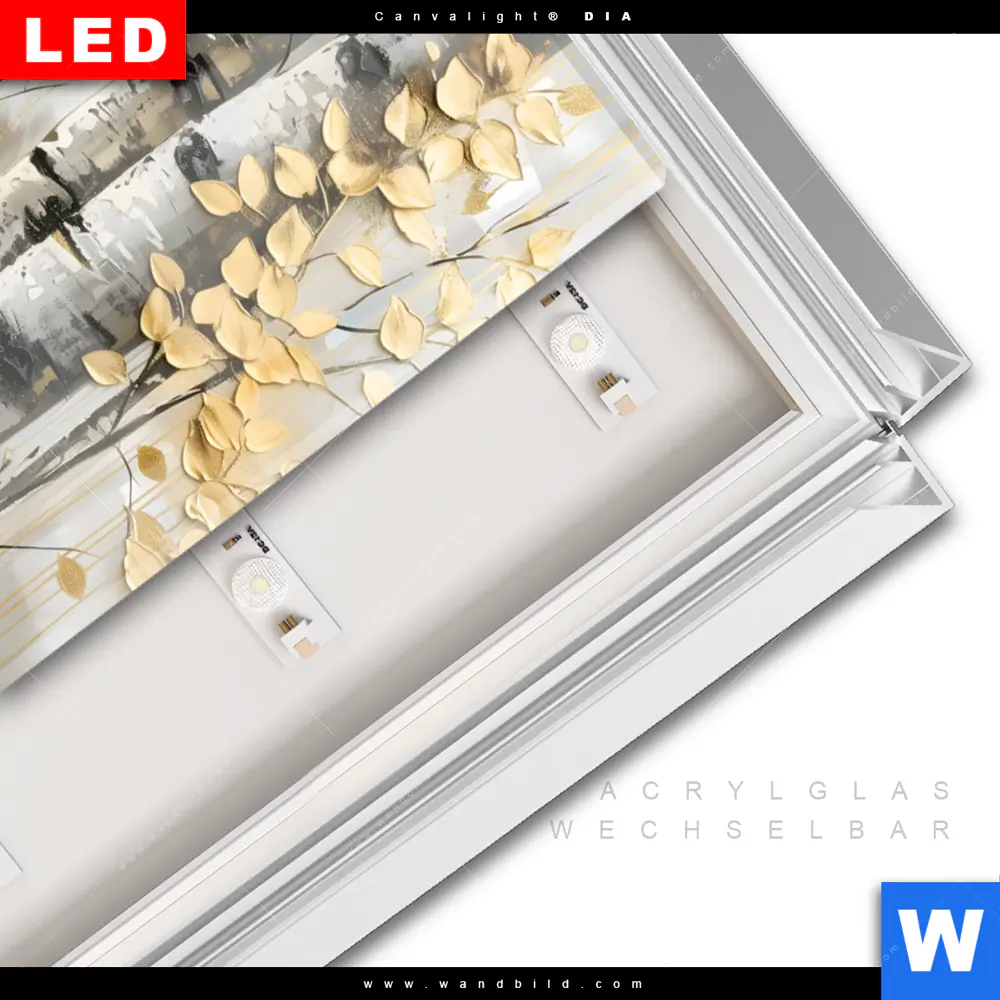 Leuchtbild Acrylglas Canvalight® DIA | Abstrakter Birkenwald | Hochformat - Image 3