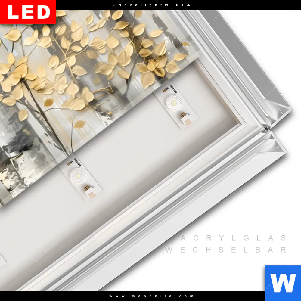 Leuchtbild Acrylglas Canvalight® DIA | Abstrakter Birkenwald | Panorama - Image 3