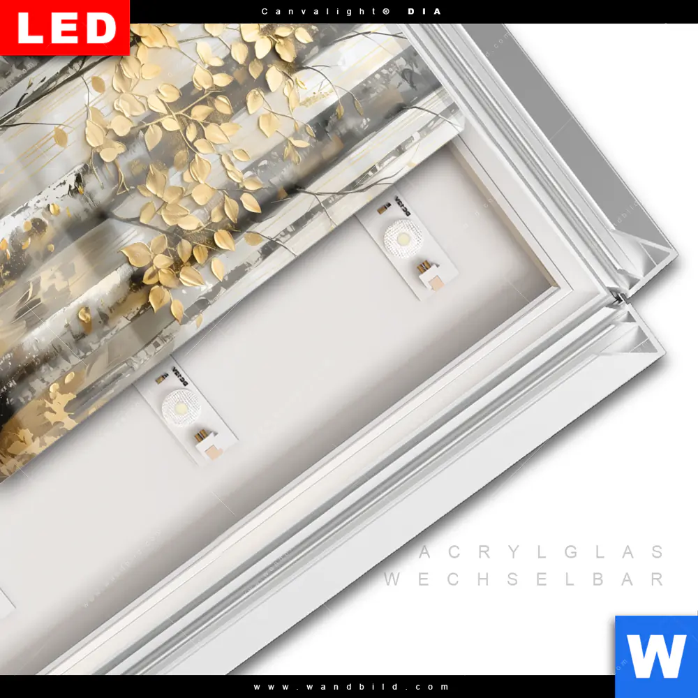 Leuchtbild Acrylglas Canvalight® DIA | Abstrakter Birkenwald | Quadrat - Image 3