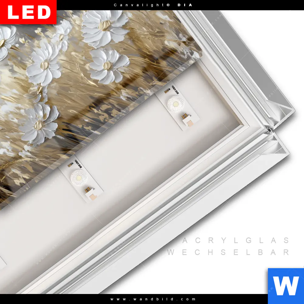 Leuchtbild Acrylglas Canvalight® DIA | Blüten im Wind | Querformat - Image 3
