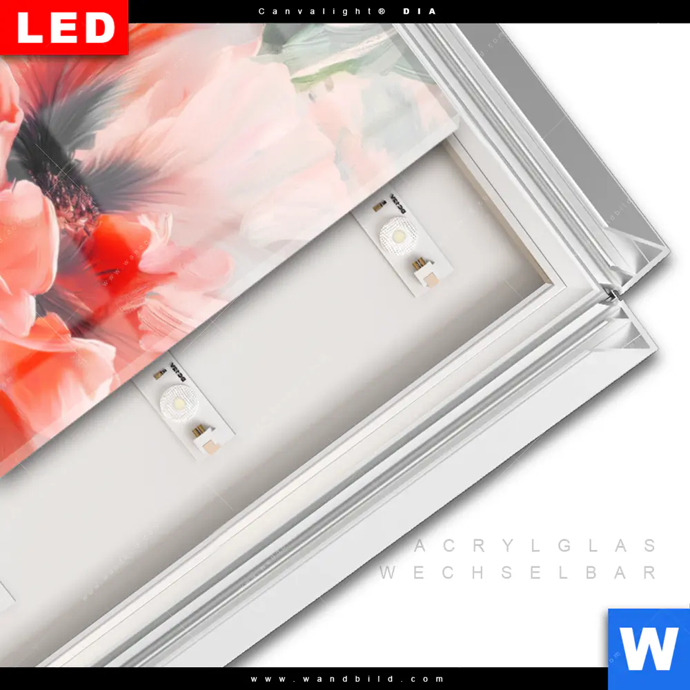 Leuchtbild Acrylglas Canvalight® DIA | Blumen in voller Pracht | Schmal - Image 3