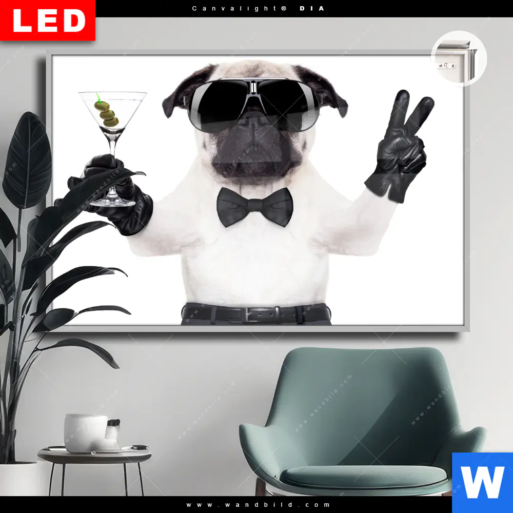 Leuchtbild Acrylglas Canvalight® DIA | Cooler Mops mit Martini | Querformat