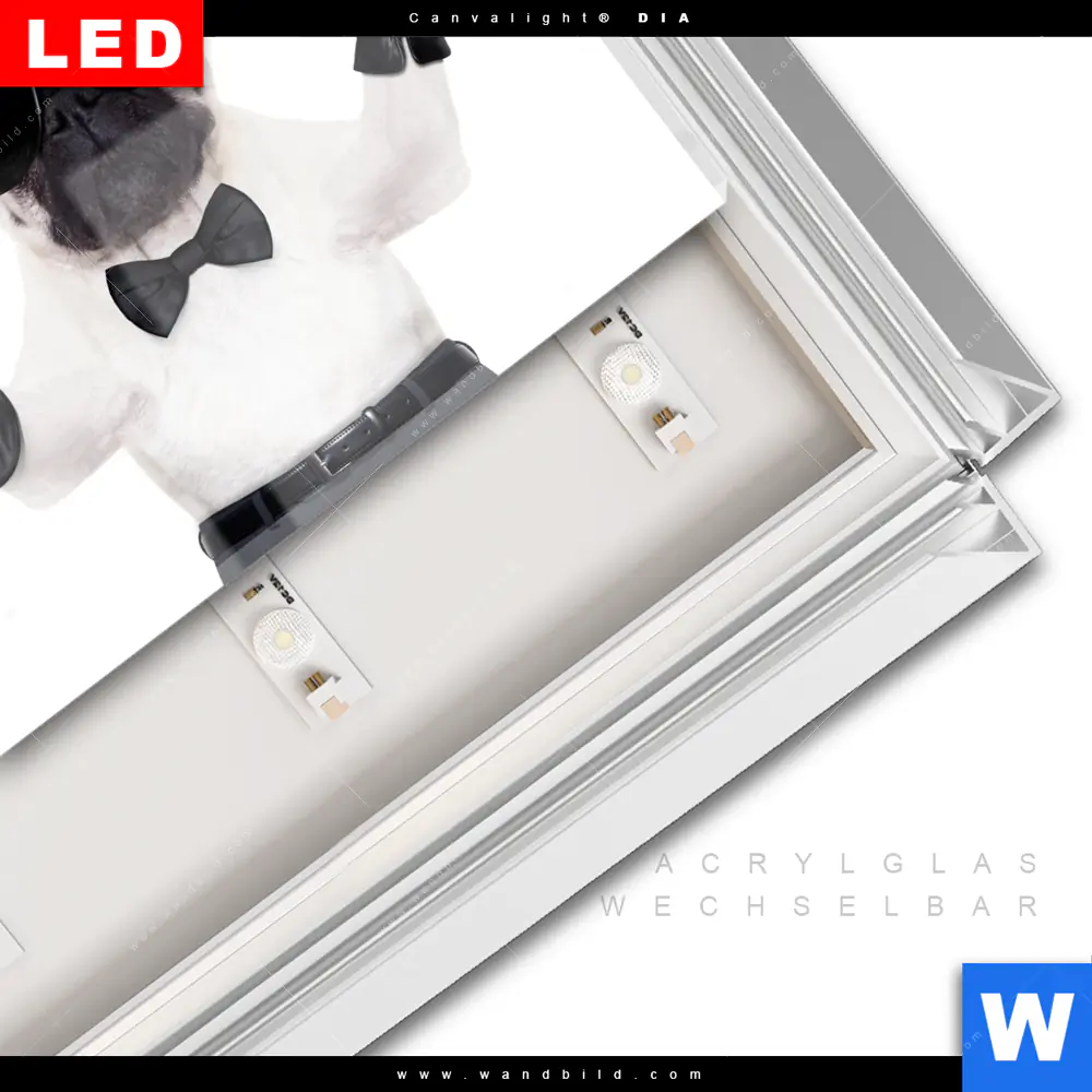 Leuchtbild Acrylglas Canvalight® DIA | Cooler Mops mit Martini | Querformat - Image 3