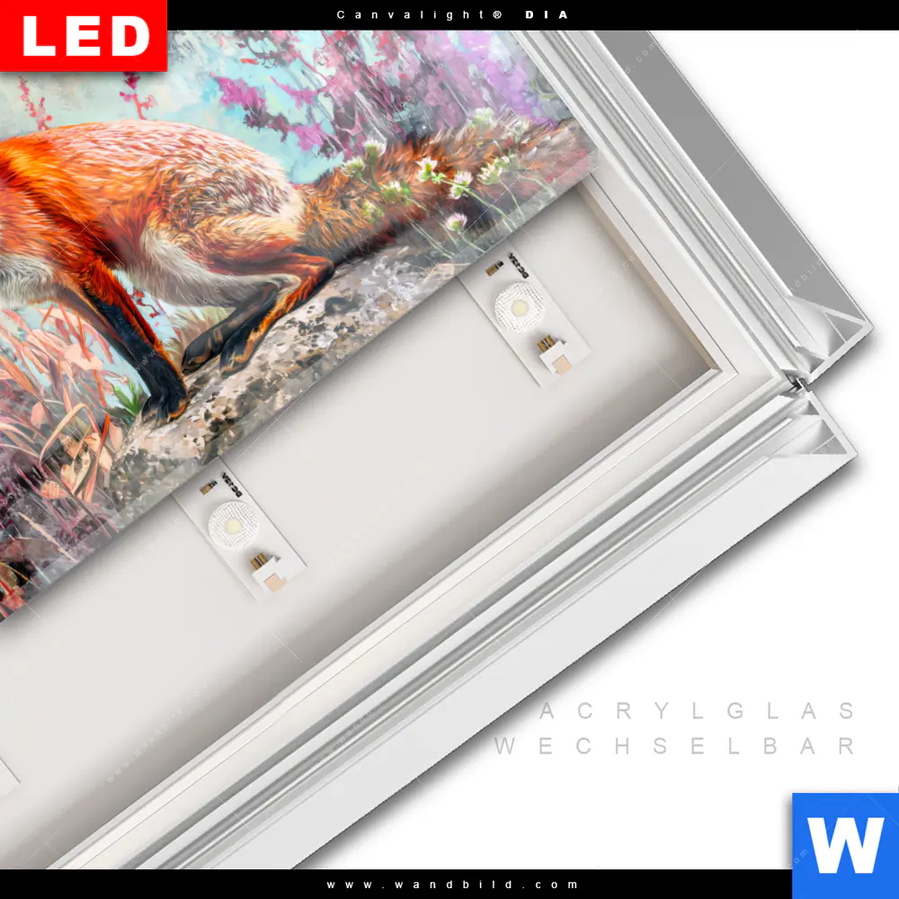 Leuchtbild Acrylglas Canvalight® DIA | Der Fuchs - Abstrakte Natur | Querformat - Image 3
