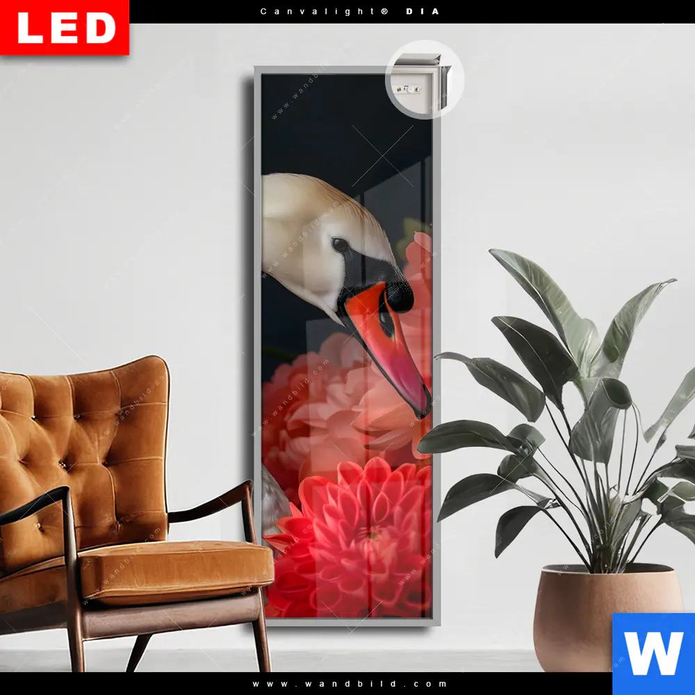 Leuchtbild Acrylglas Canvalight® DIA | Eleganter Schwan mit Blumen | Schmal