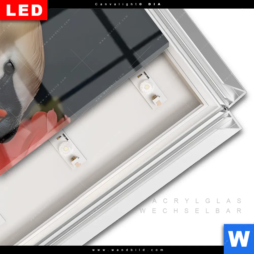 Leuchtbild Acrylglas Canvalight® DIA | Eleganter Schwan mit Blumen | Schmal - Image 3